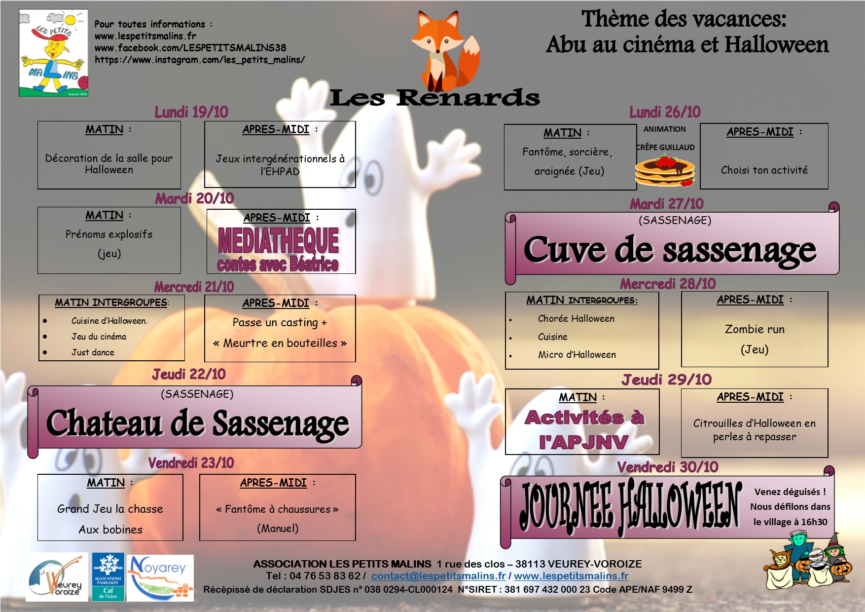 VACANCES automne 2026 Renard